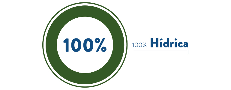 Gráfico da repartição da energia comercializada pela Goldenergy por tecnologia no 1º trimestre de 2021, com energia 100% Hídrica Gráfico correspondendo a Energia 100% Hídrica